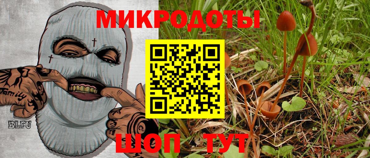 Галлюциногенные грибы Psilocybe  Вход с VPN  где можно купить   Волгодонск 